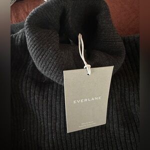 Everlane Charcoal Ribbed Turtleneck Sweater Dress